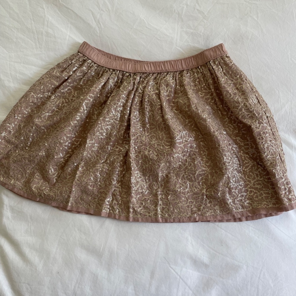 Sequins Skirt